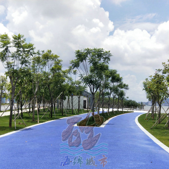 海綿城市改造