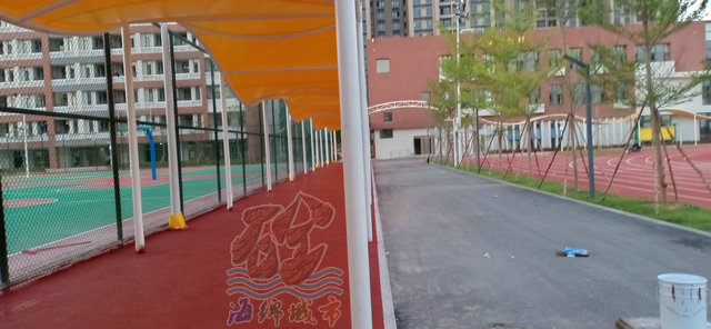 海綿路