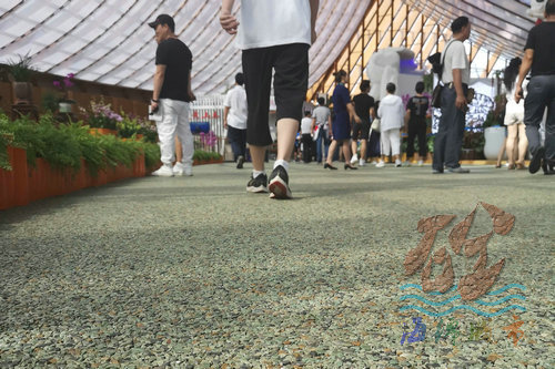 海綿城市