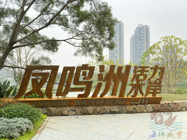 海綿城市