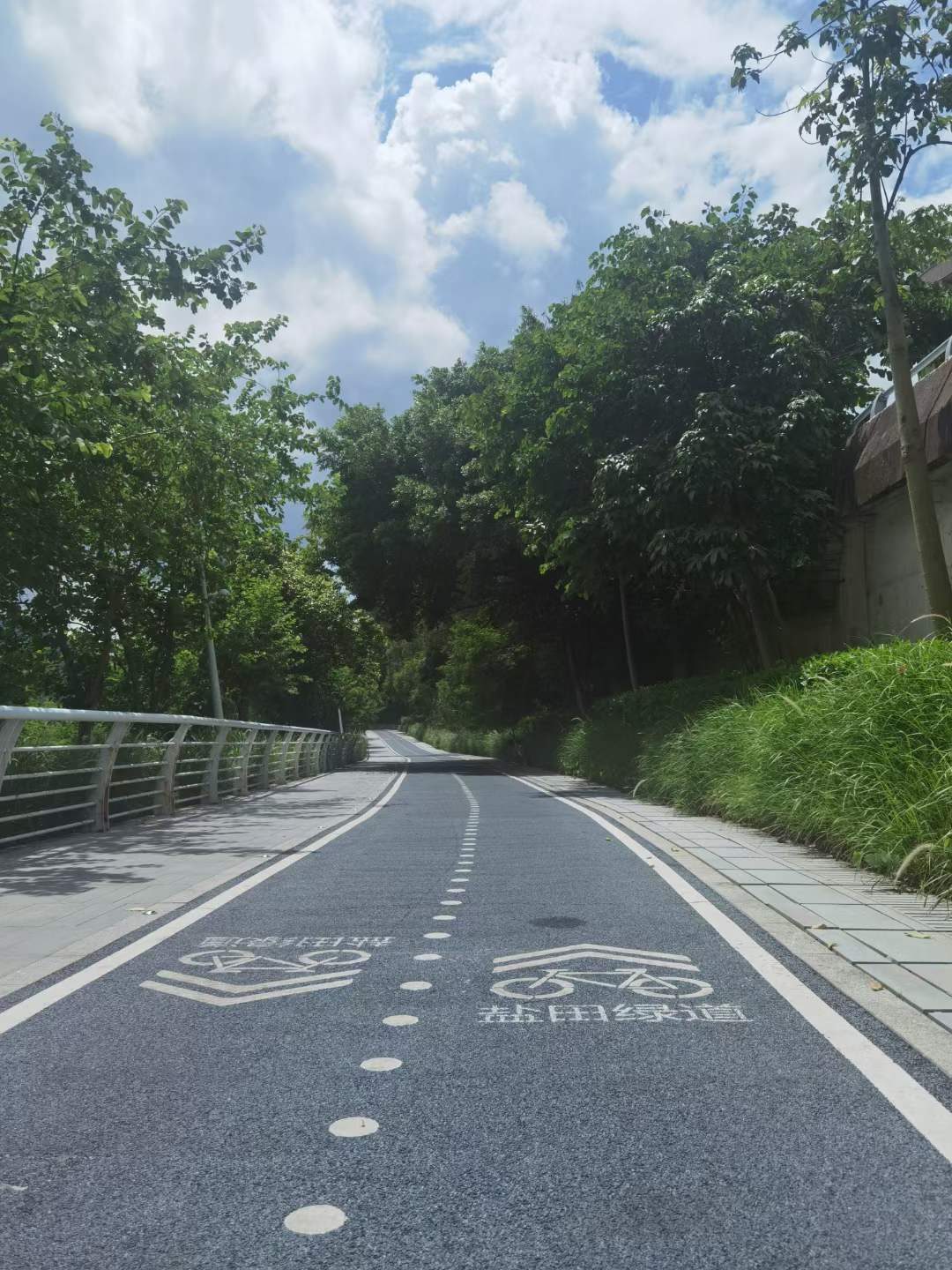 回訪三年前鹽田綠道【冷鋪瀝青】