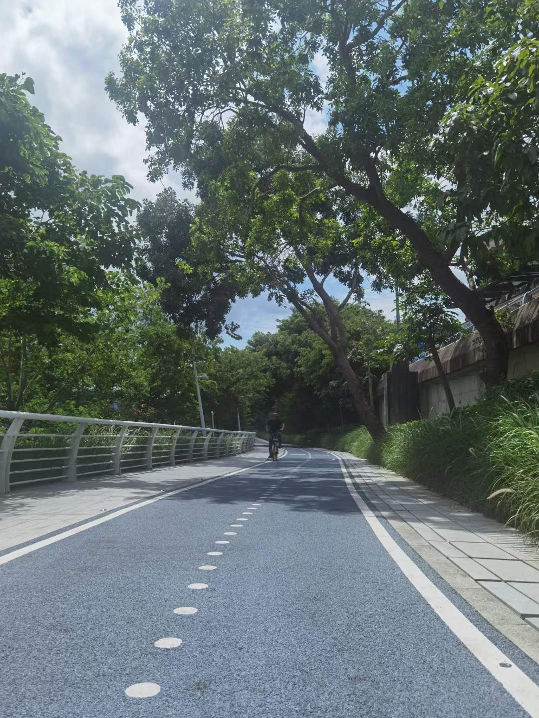 海綿城市